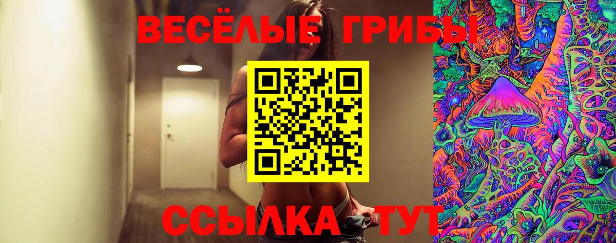 Псилоцибиновые грибы мицелий  Галлюциногенные грибы Psilocybe  Нурлат  Вход с VPN 