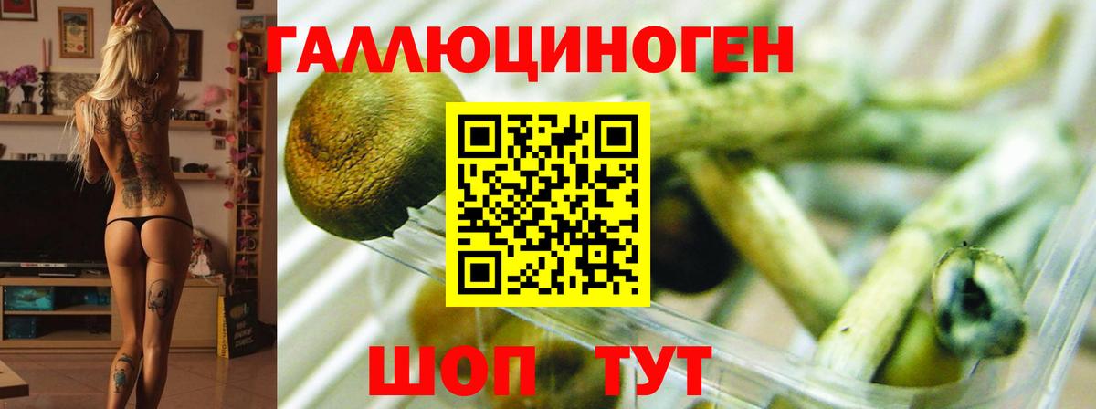 Псилоцибиновые грибы ЛСД Нурлат